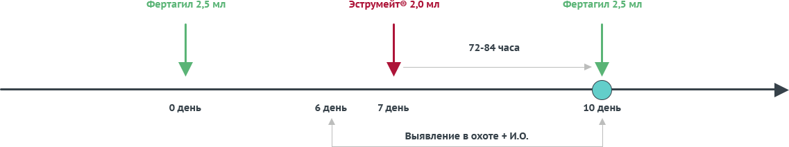 Схема синхронизации коров овсинг