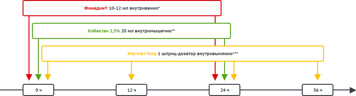 Схемы лечения мастита