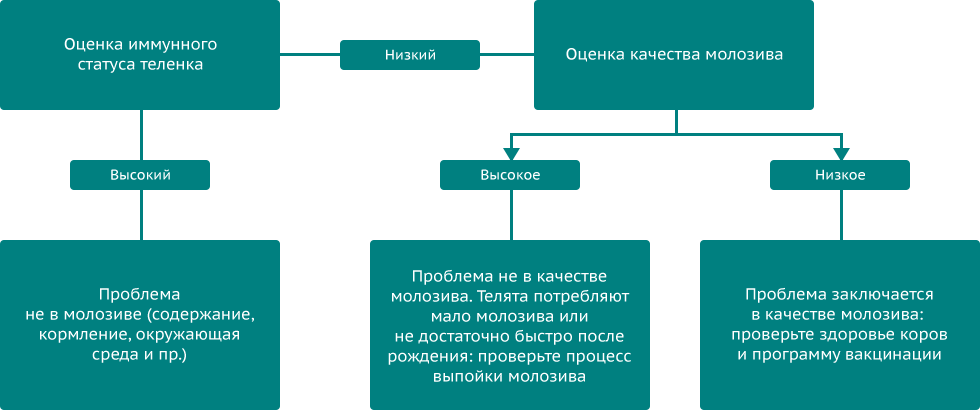 Технологический регламент автоматизированного доения коров