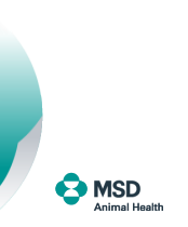 MSD Animal Health Russia